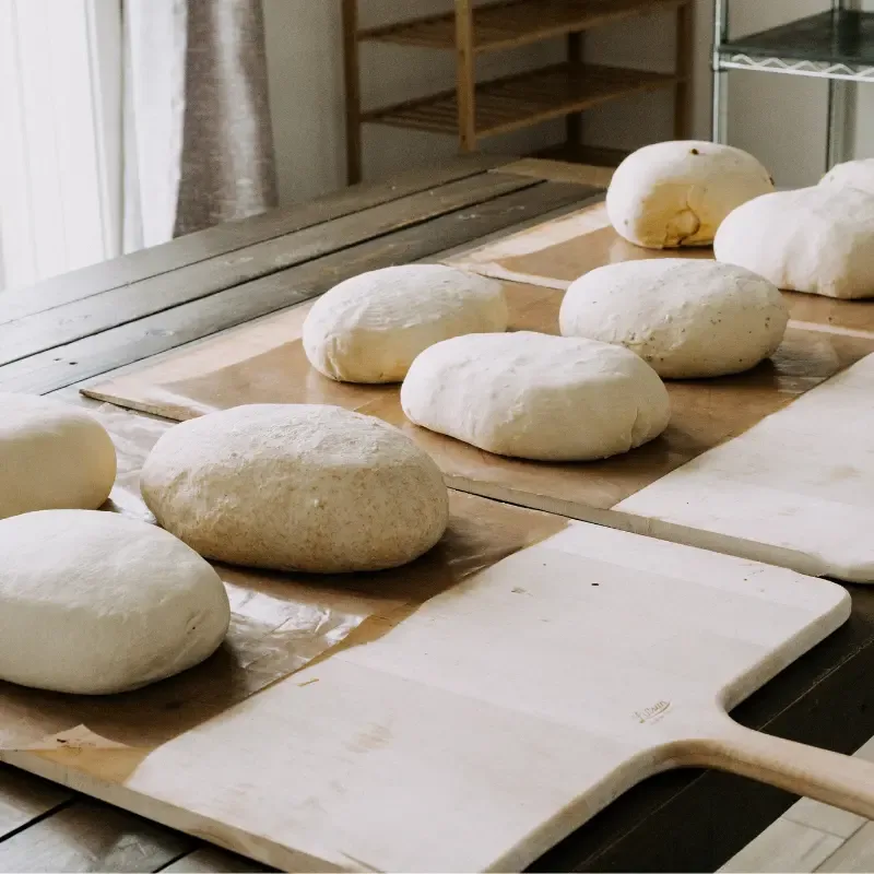 Rounds of sourdough resting on wooden boards in the bakery