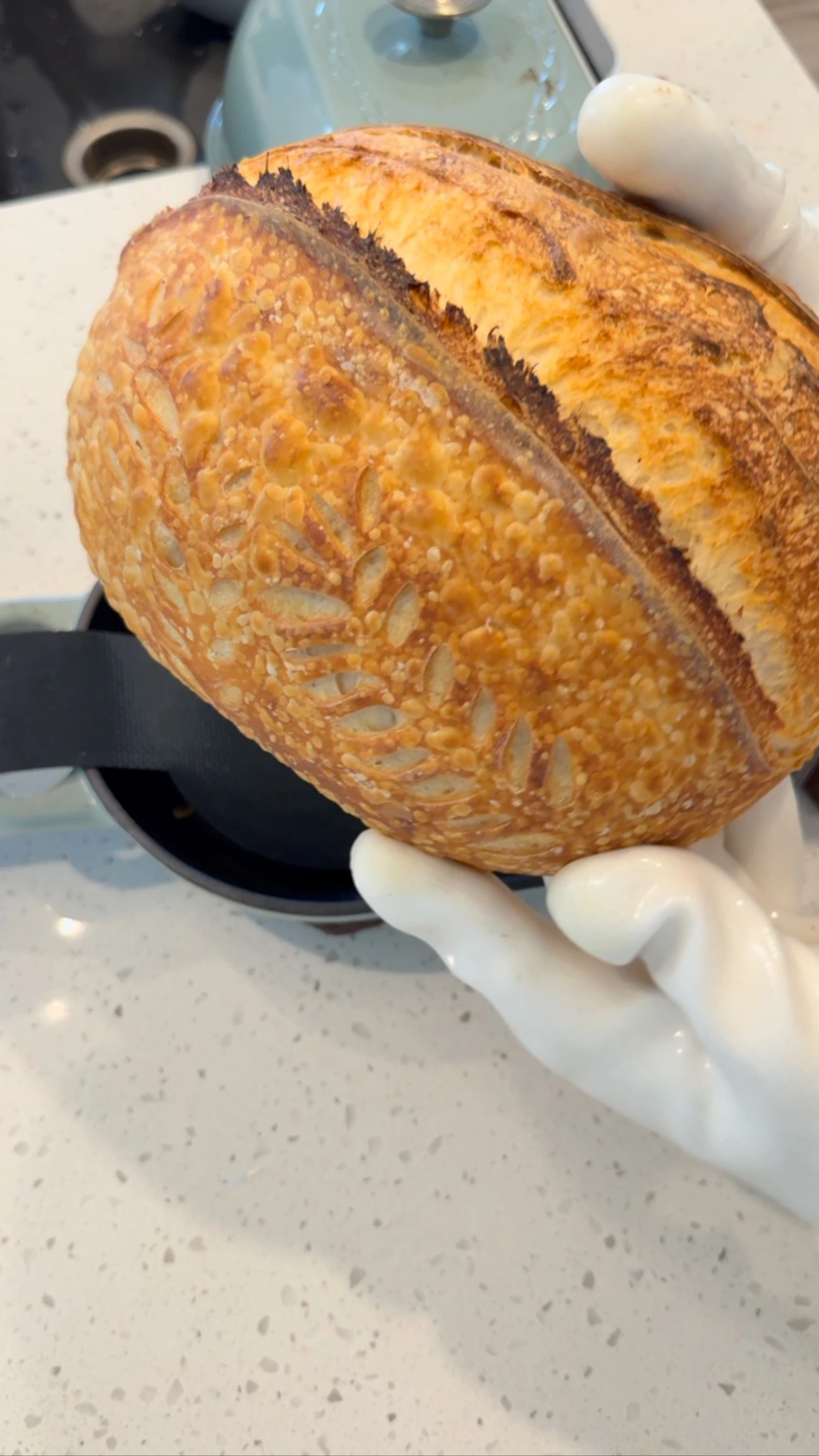 Fresh Sourdough Loaf